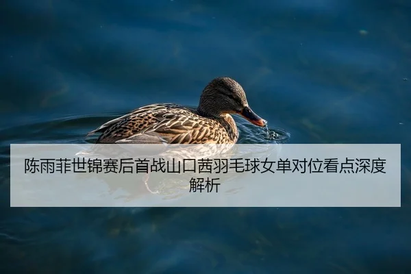 陈雨菲世锦赛后首战山口茜羽毛球女单对位看点深度解析