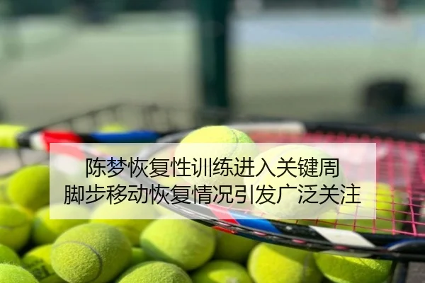 陈梦恢复性训练进入关键周 脚步移动恢复情况引发广泛关注