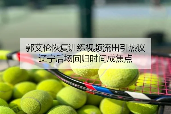 郭艾伦恢复训练视频流出引热议 辽宁后场回归时间成焦点
